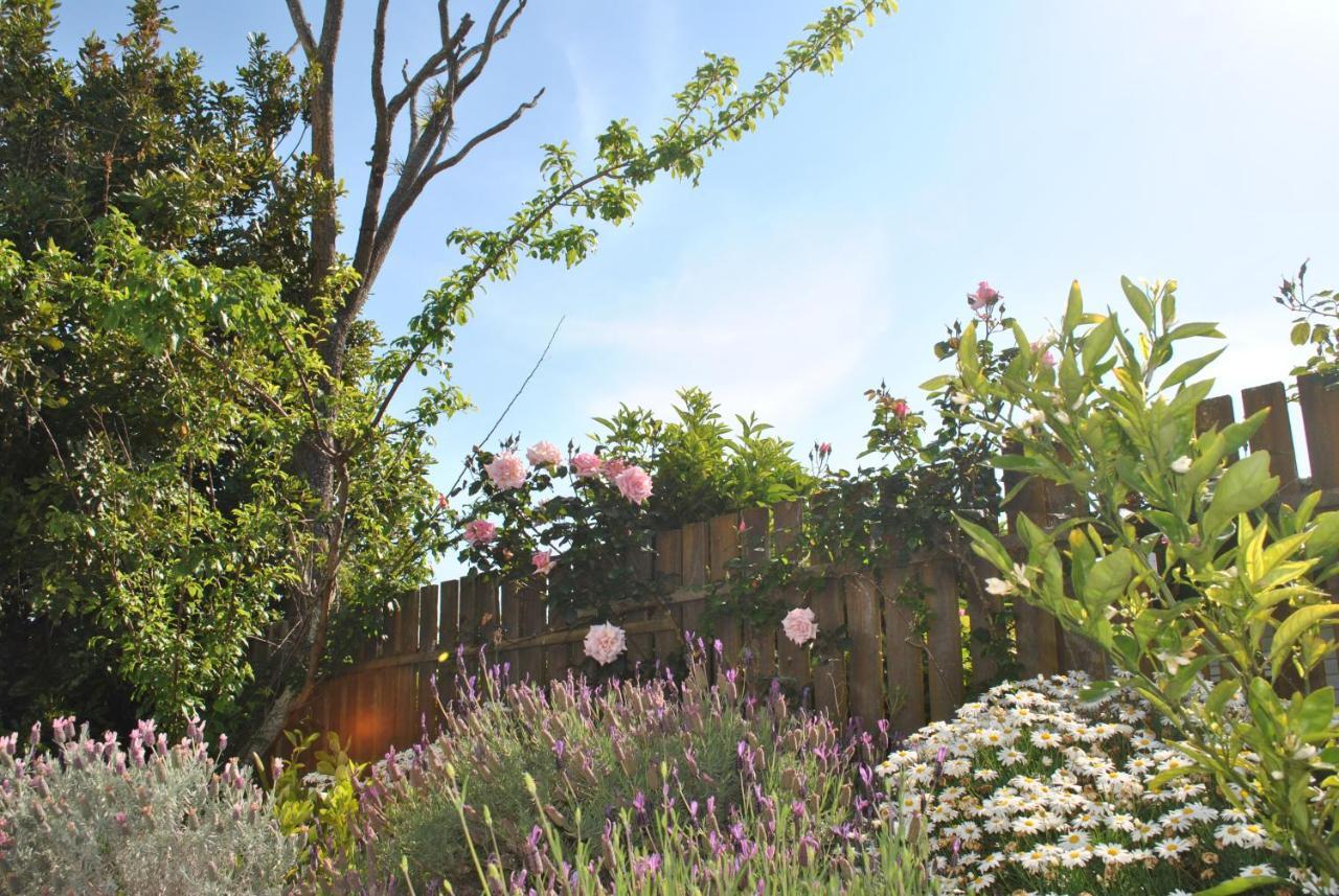Wai O Taiki Bay B&B Auckland Kültér fotó
